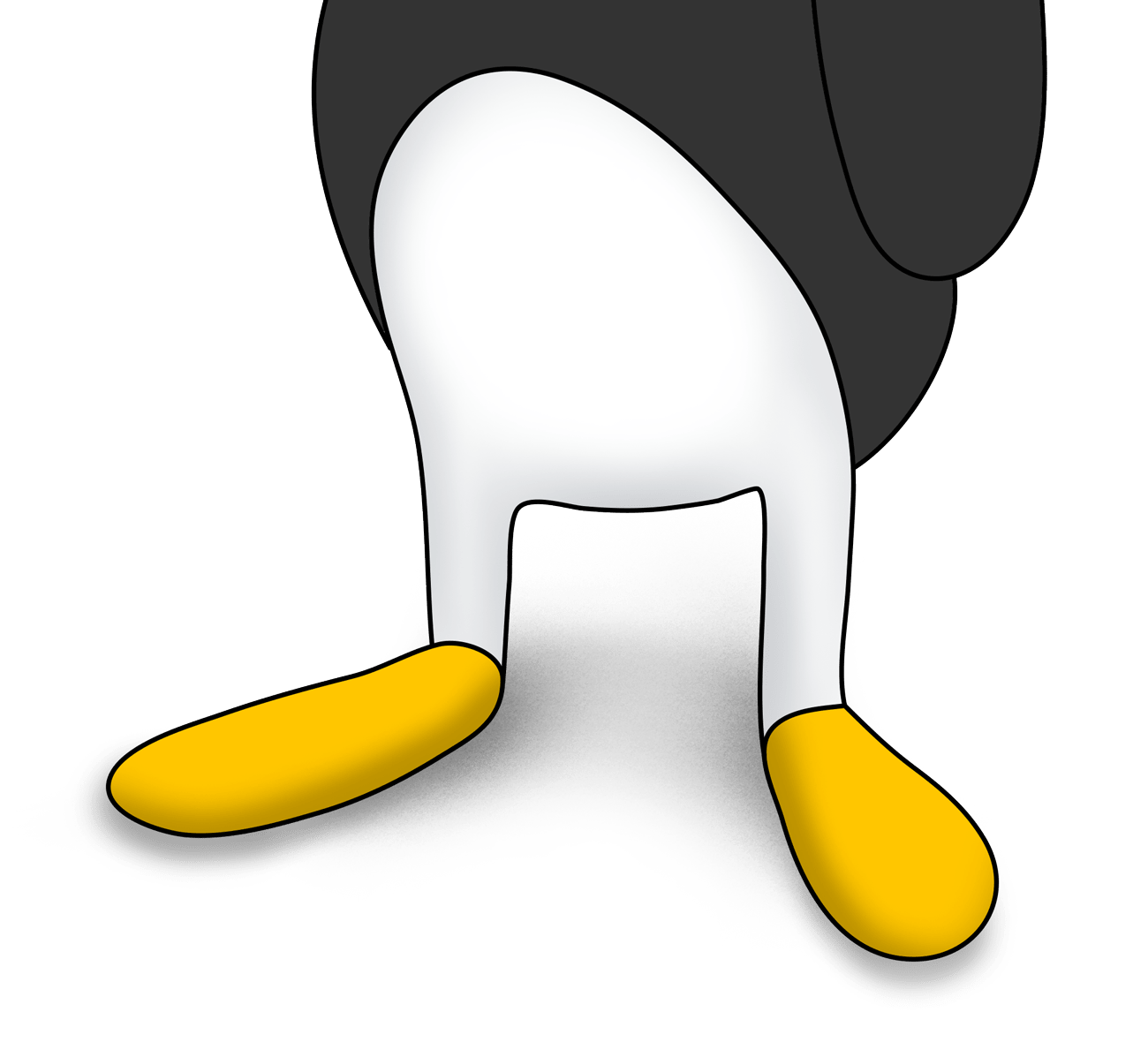 A penguin's feet